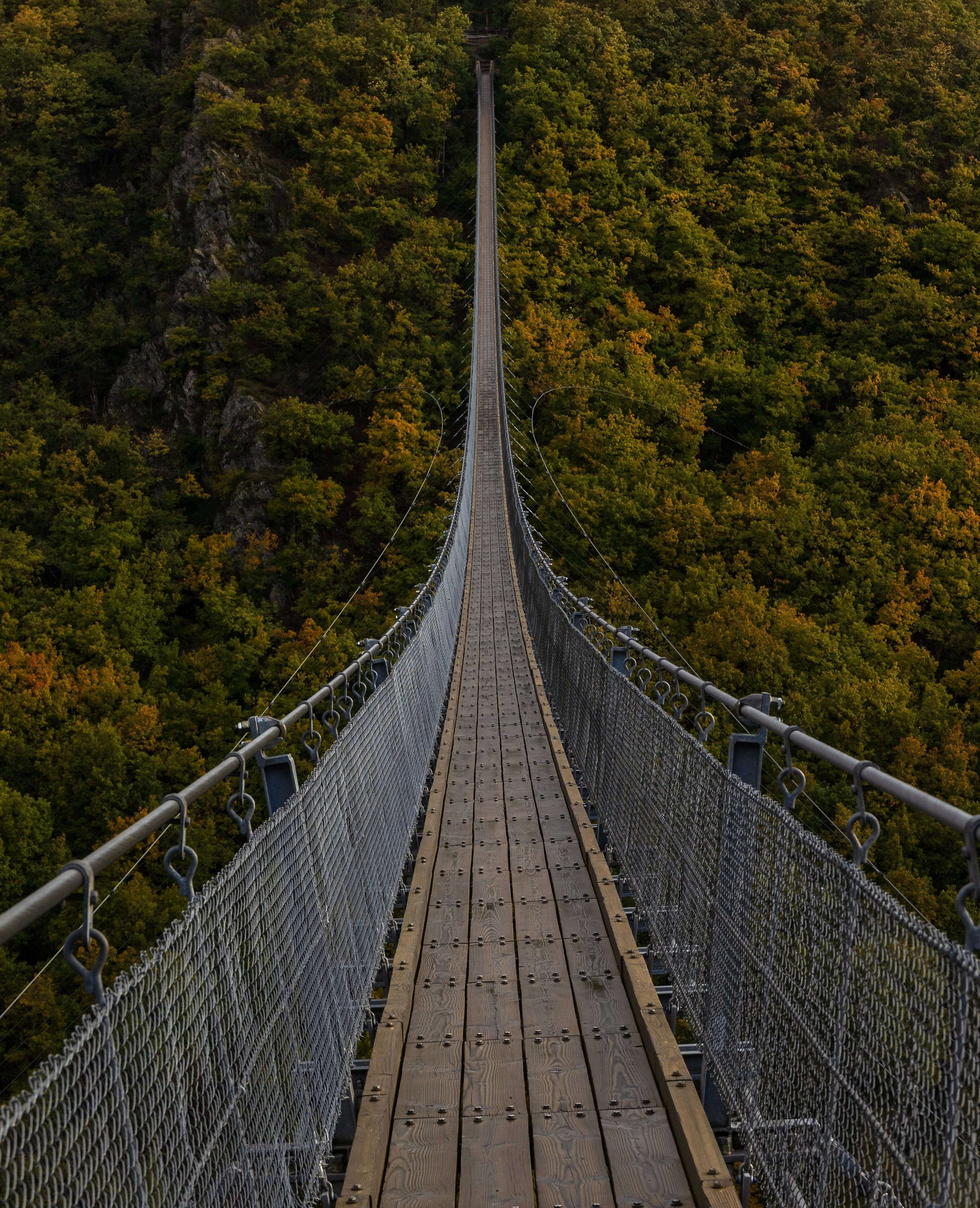 Bridge with view